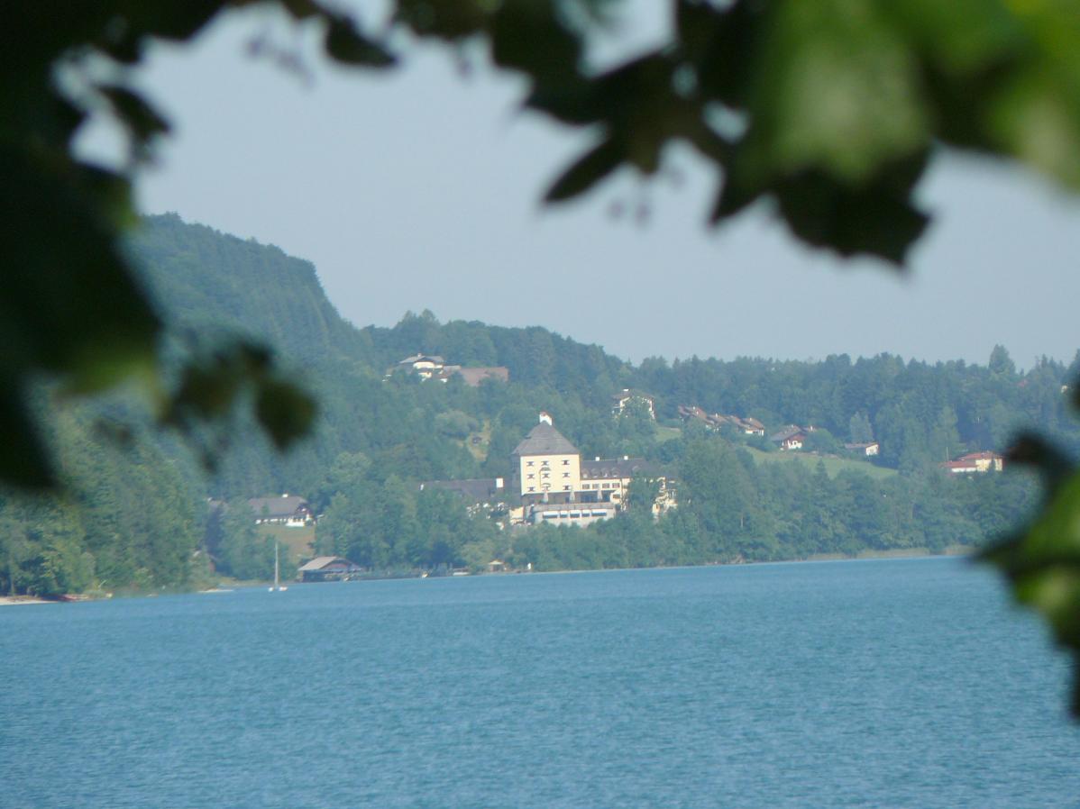 P1160395.jpg