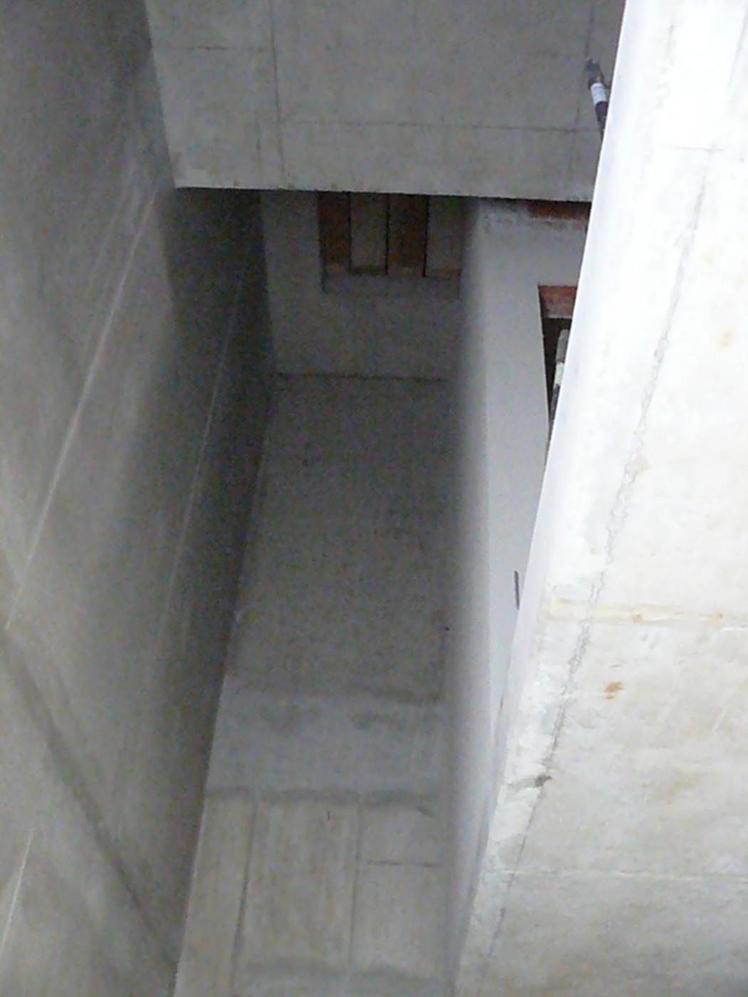 P1450506.jpg