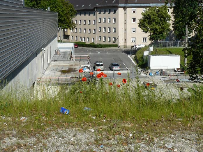P1510431.jpg