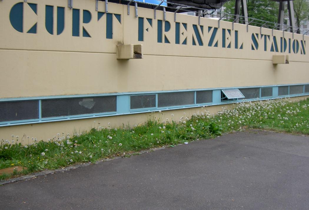 cfs schrift.jpg