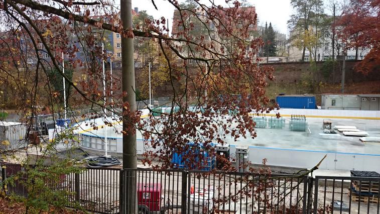 DSC_0037.jpg