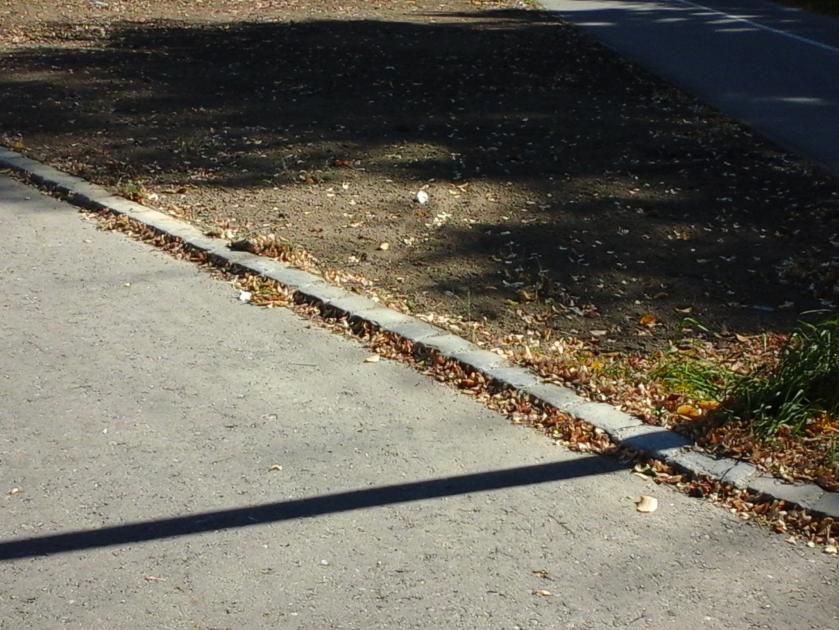 20151001_132452.jpg