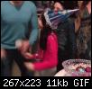 giphy1.jpg