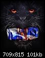 FB_IMG_1555396160814.jpg