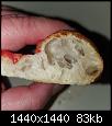 137624716_10218925052505157_3670793992094142793_o.jpg