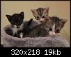7A9C5F07-2624-4196-98AA-EB23BAD46A57.jpeg
