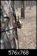 IMG-20220416-WA0002.jpg