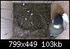 snapshot.jpg